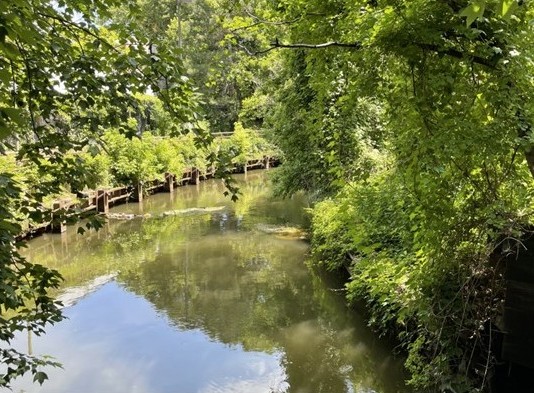 Tree-lined D&R Canal corridor in Trenton, New Jersey